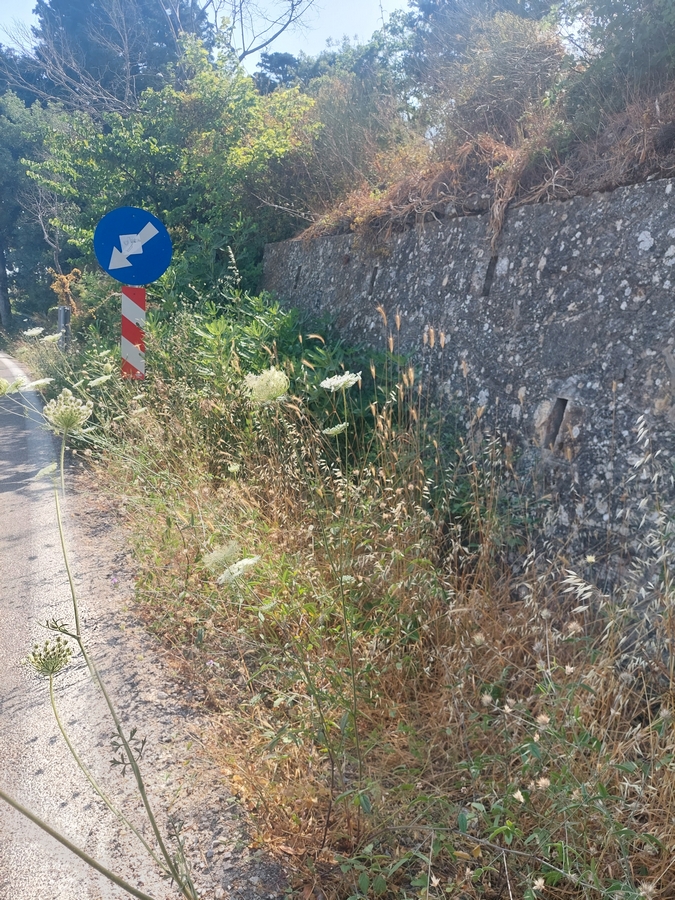 20220623_095909.jpg