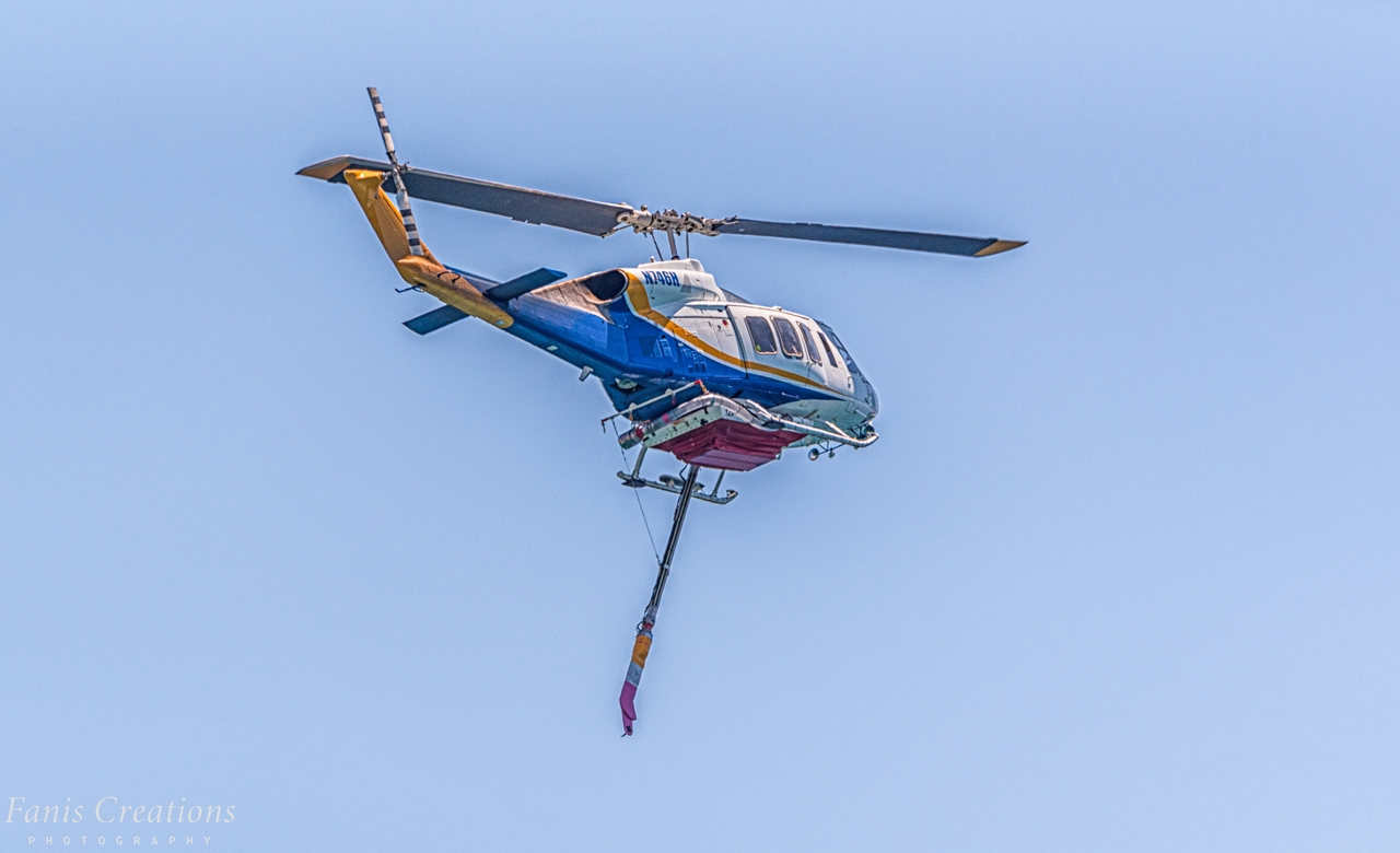 20240702-DSC_9792-Edit.jpg