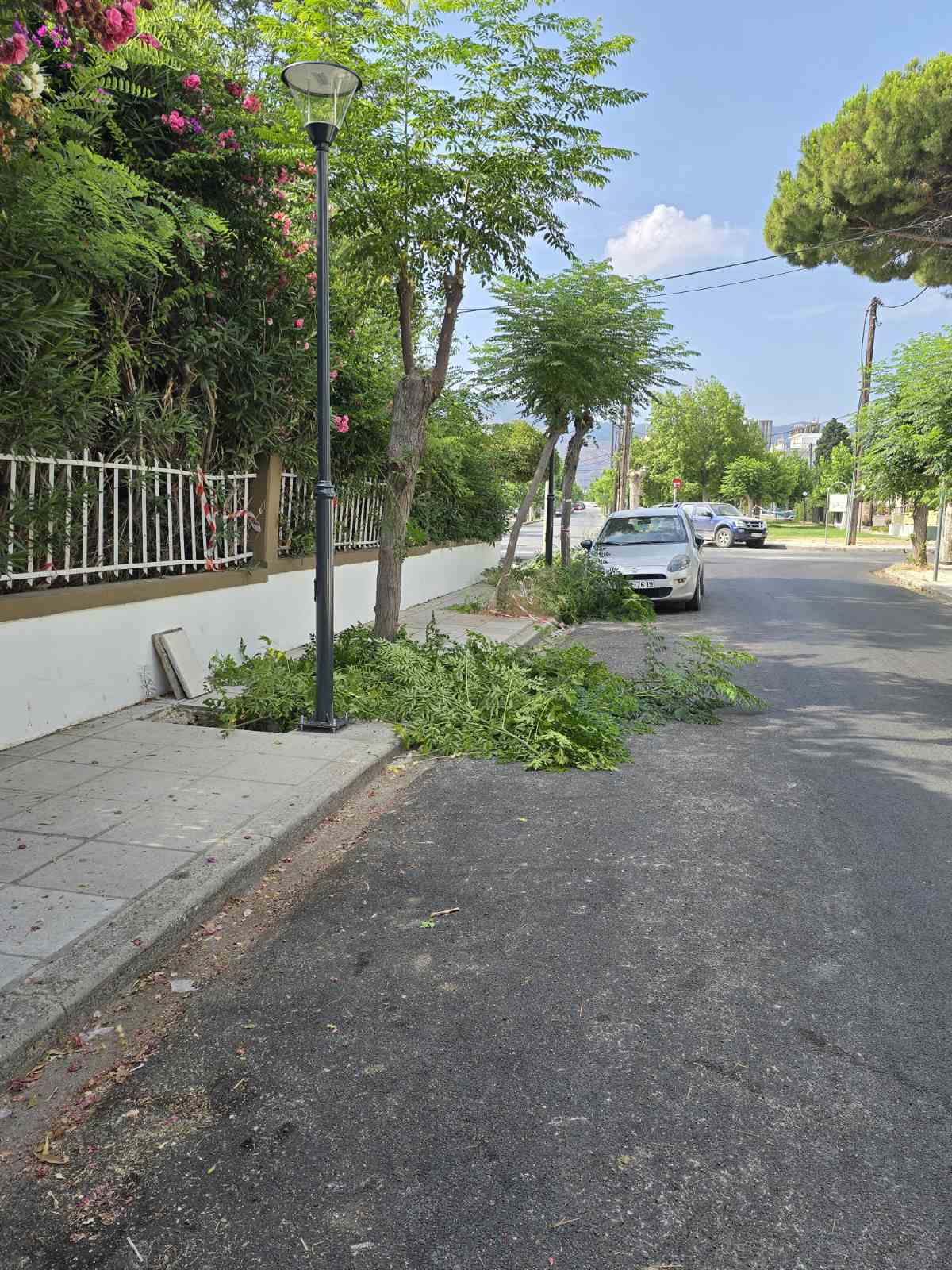 2024 7 05 οδοφωτισμός Φαιναρέτης  (3).jpg