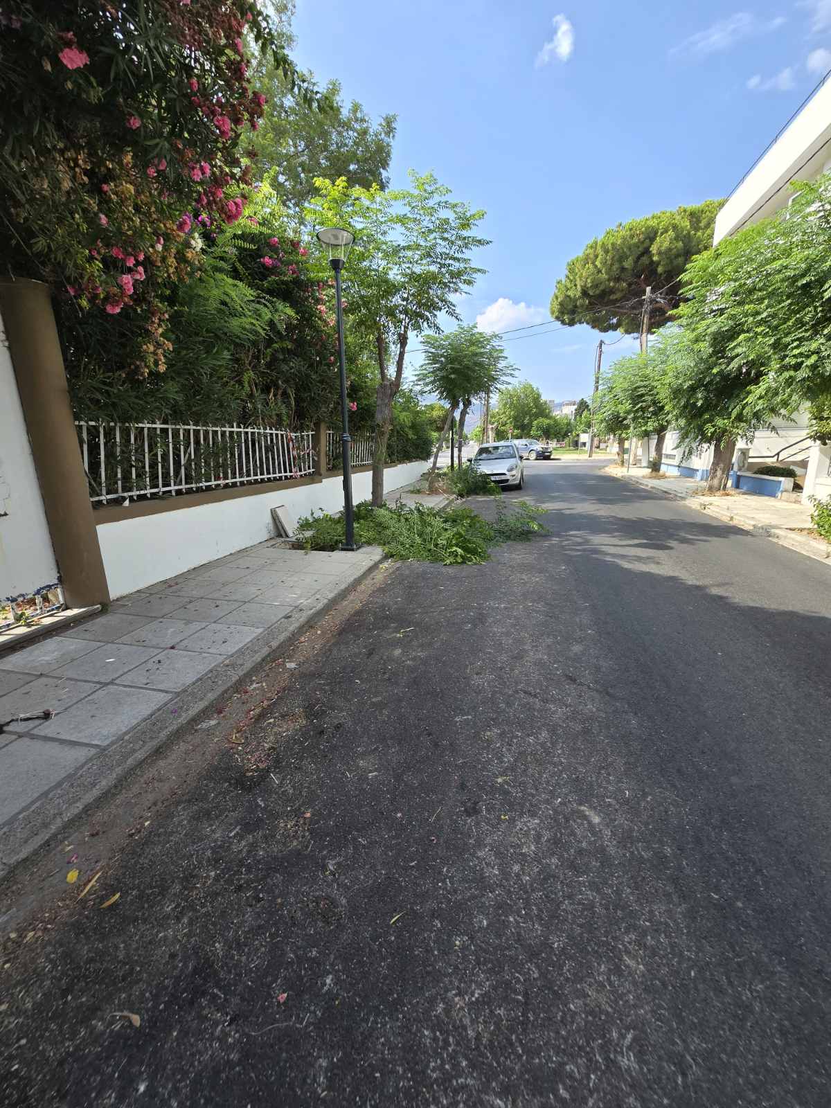 2024 7 05 οδοφωτισμός Φαιναρέτης  (5).jpg