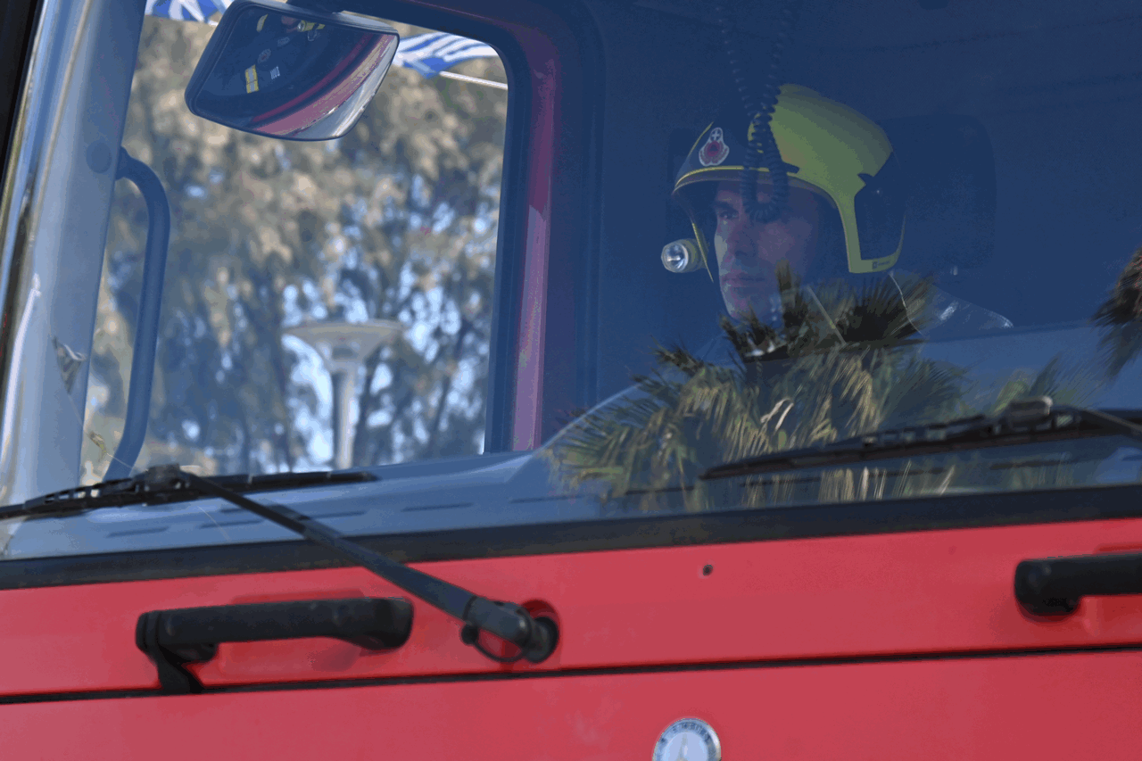 DSC_5204.gif