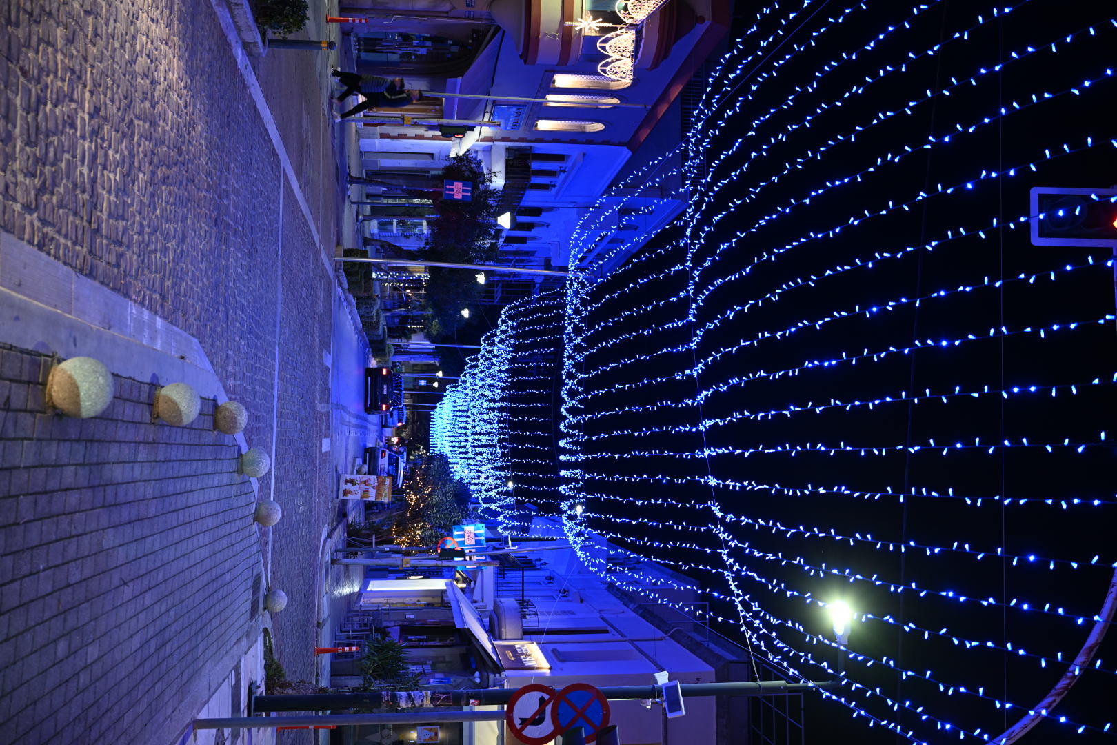 DSC_7315.JPG