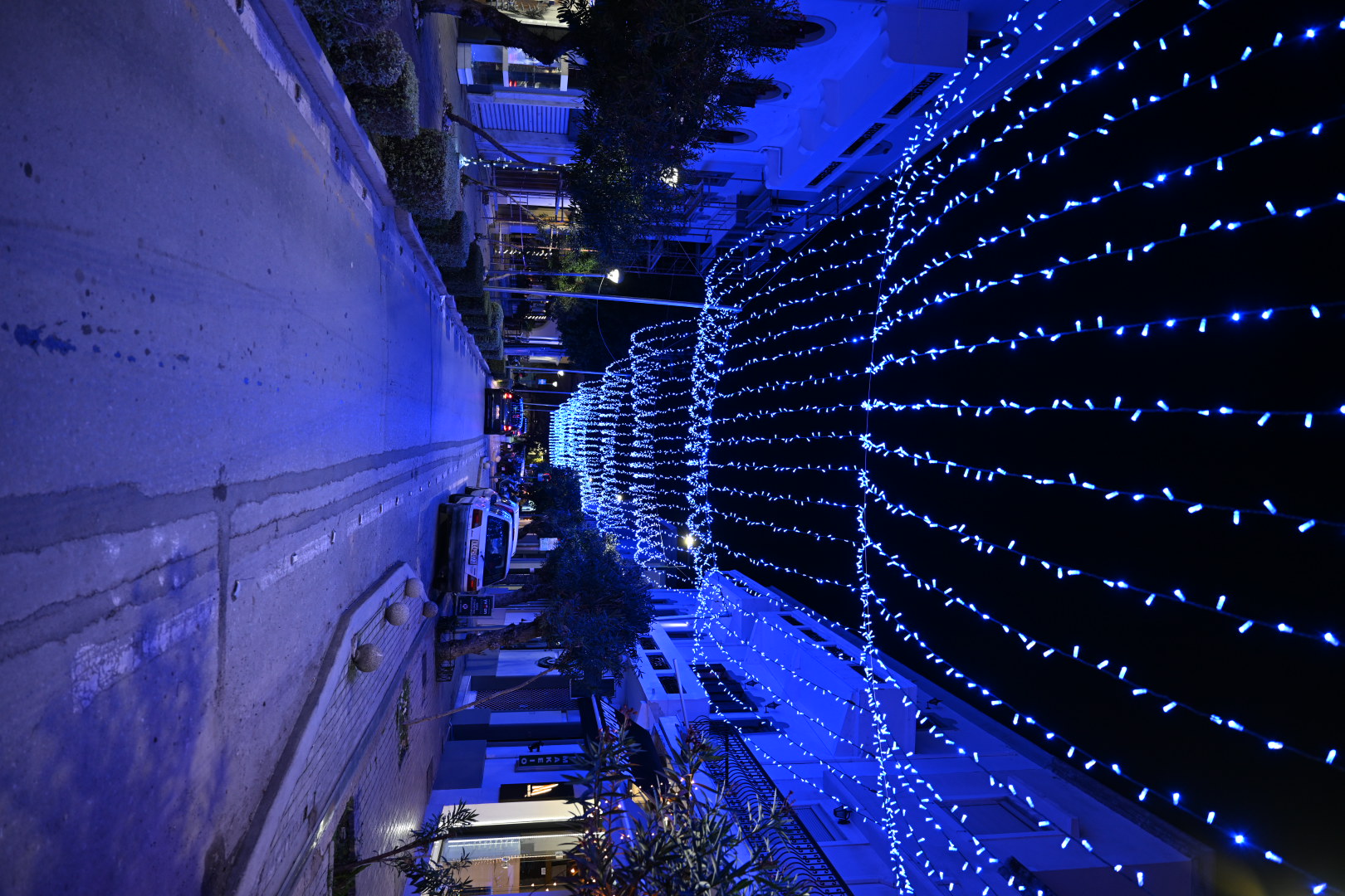 DSC_7320.JPG