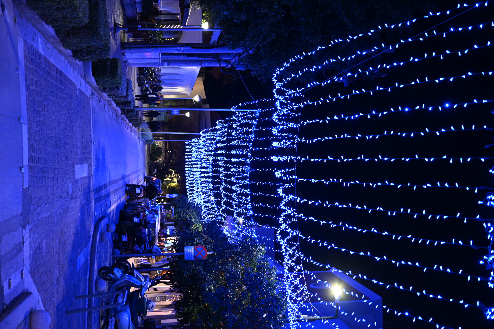 DSC_7328.JPG