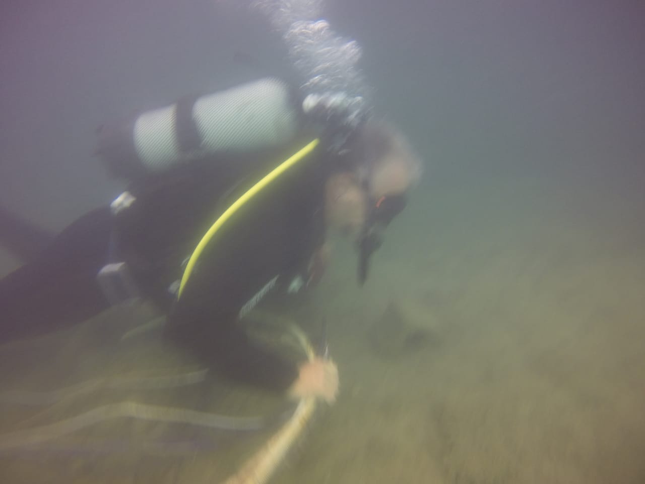 Fotis Maggos.JPG