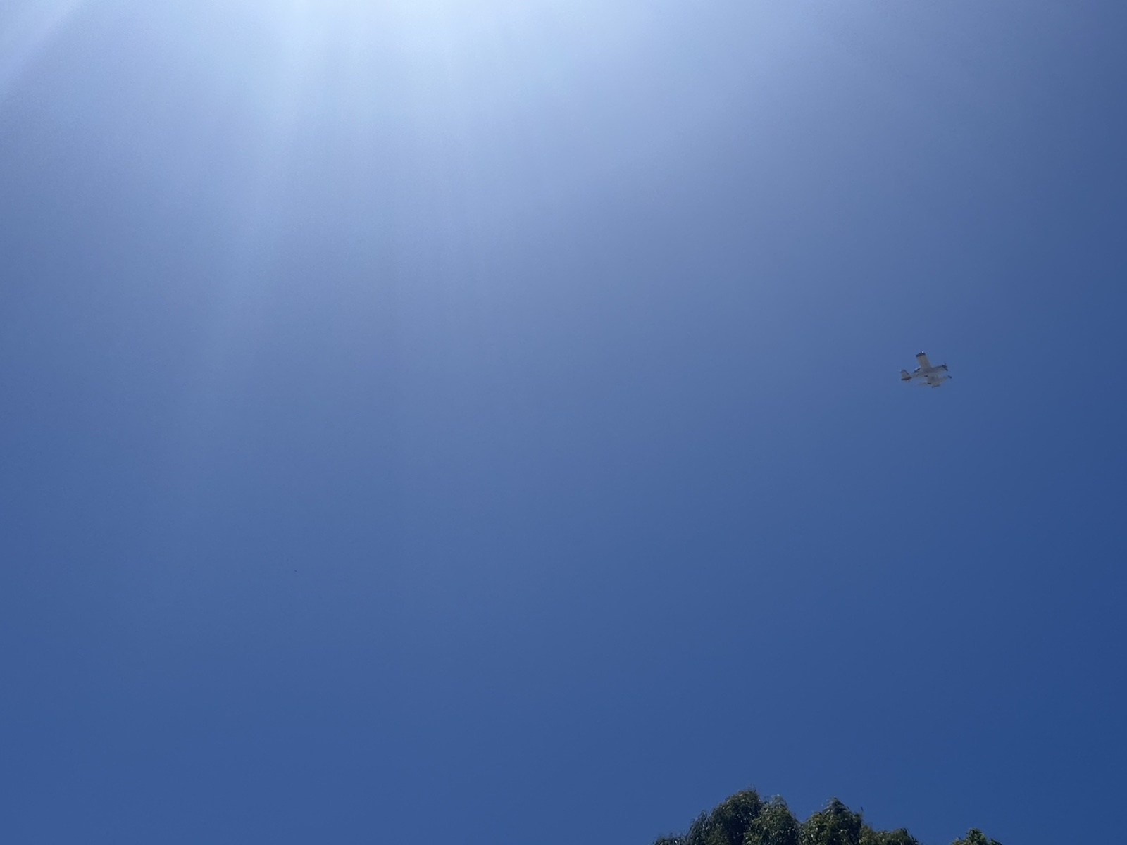 IMG-6b6b867de8a4d011d9432620429d66fc-V.jpg