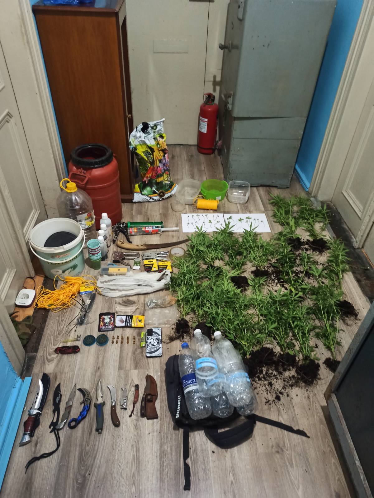 SYLLHPSH FYTEIA KANNABHW KALYMNOS F3.jpg
