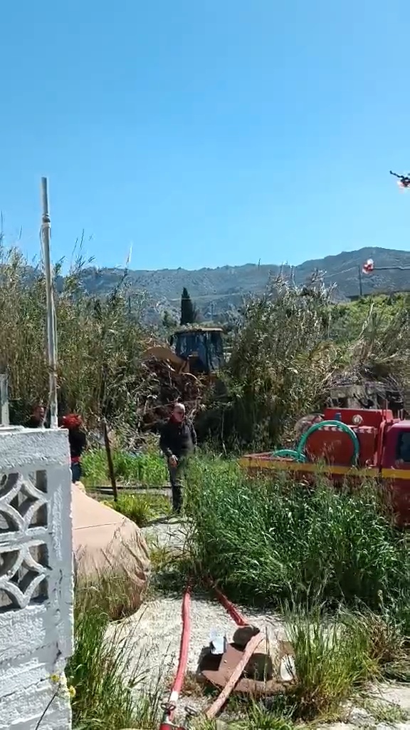 VideoCapture_20240321-135903.jpg