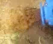 apol