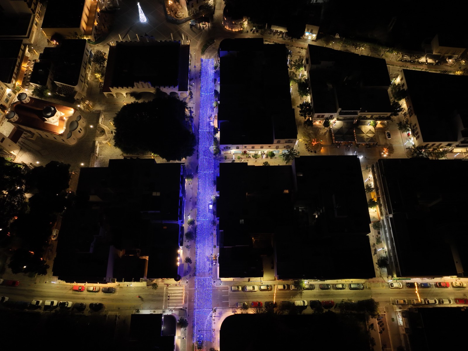 dji_fly_20241211_195924_955_1734031668370_photo_copy_1600x1199.jpg