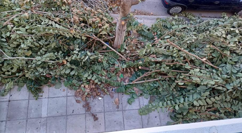 Στιγμιότυπο οθόνης 2023-11-17 200550.png
