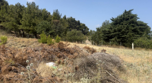 Από τον Μάιο παραμένουν στοίβες κλαδιών στο Ιπποκράτειο Ίδρυμα Κω, μέσα στο δάσος - Δείτε βίντεο και φωτογραφίες