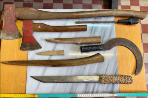 Συνελήφθη ημεδαπός στη Ρόδο για απόπειρα ανθρωποκτονίας, βία κατά υπαλλήλων, προσβολή συμβόλων του κράτους