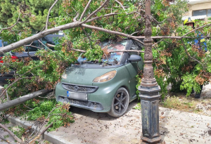 Άμεση επέμβαση της Πυροσβεστικής για κοπή και απομάκρυνση δένδρου