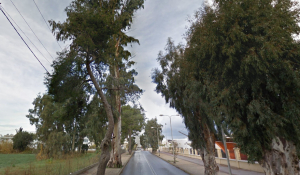 Εργασίες κλάδευσης ευκαλύπτων από το ύψος της «ΜΑΡΙΝΑΣ» ΚΩ μέχρι το Ψαλίδι, σήμερα Πέμπτη - Κλειστή η μία λωρίδα κυκλοφορίας