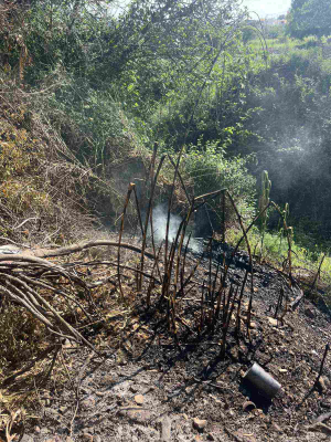 Νέα επέμβαση της Πυροσβεστικής Υπηρεσίας Κω για πυρκαγιά στο Ζηπάρι - Επιβολή προστίμου για μη τήρηση μέτρων πρόληψης