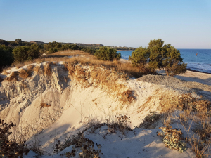 ΔΥΝΑΜΗ ΑΛΛΑΓΗΣ-ΚΩΣ 2023 :  Μετά από ένα χρόνο ο Πρόεδρος της Αντιμάχειας ξεκίνησε το μεγάλο έργο του, καταστρέφοντας ότι μπορεί