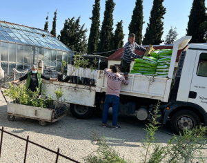 Περισσότερα από 3000 χιλιάδες φυτά διέθεσε σε φορείς των νησιών το Περιφερειακό Φυτώριο Νοτίου Αιγαίου