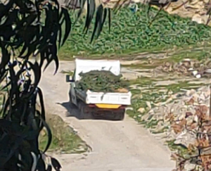 Αποστολία Τσαμπουνιάρη: Άλλοι πιστεύουν στα μάτια τους και άλλοι στα εκβιαστικά δελτία τύπου του Δήμου Κω