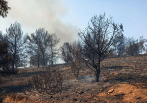 Υπό έλεγχο η φωτιά στη Λέρο