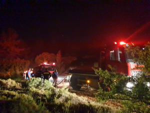 Φωτιά σε δύσβατη περιοχή κοντά στο HOT SPOT στο Πυλί - ΦΩΤΟ &amp; ΒΙΝΤΕΟ