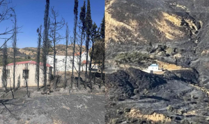 Κάηκαν τα πάντα δίπλα τους αλλά όχι τα εκκλησάκια του Προφήτη Ηλία και του Αγίου Φιλίππου, στην Καρδάμαινα. Δείτε τις συγκλονιστικές εικόνες
