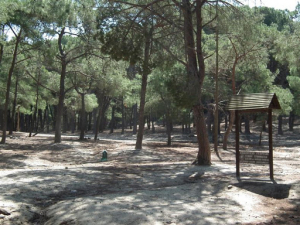 Προληπτική απαγόρευση κυκλοφορίας εντός δασών - Δείτε για την Κω