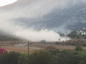 Μικρής έκτασης φωτιά το πρωί της Παρασκευής στο Πυλί