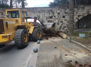 Ξεκίνησαν οι εργασίες για την αντικατάσταση 23 άρρωστων φοινίκων, στη Λεωφόρο Φοινίκων, στην Κω - ΦΩΤΟ