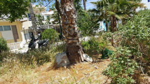 ΒΑΣΙΛΗΣ ΧΑΔΟΥΛΗΣ: Η Κως δεν περιορίζεται σε δύο δρόμους και στις περιοχές των φίλων της δημοτικής αρχής