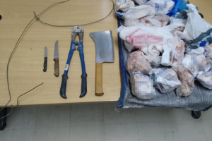 Συνελήφθησαν 3 άτομα για απόπειρα ζωοκλοπής σε χωριό της Ρόδου