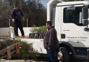 Σε εξέλιξη από το περιφερειακό φυτώριο το μεγαλύτερο πρόγραμμα παραδόσεων διαφόρων φυτών και υλικών σε όλο το νότιο Αιγαίο