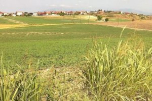 Παραχώρηση έκτασης  σε ξενοδοχειακή  επιχείρηση στην Καρδάμαινα