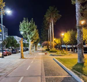 Δημοσιεύθηκε η περίληψη της διακήρυξης για την προστασία και αντιμετώπιση της διάβρωσης στην ακτή Βασιλέως Γεωργίου - 1.250.000,00 € με ΦΠΑ το κόστος του έργου