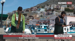Το χτύπημα και το τρίψιμο του χταποδιού στην Κάλυμνο.(video)