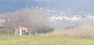 Μικρής έκτασης φωτιά στο Τιγκάκι το απόγευμα της Κυριακής