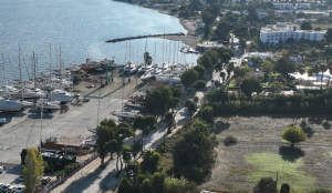 Περιοδική διακοπή της κυκλοφορίας στην παραλιακή οδό Γ. Παπανδρέου, αύριο Τετάρτη, λόγω κοπής δένδρου