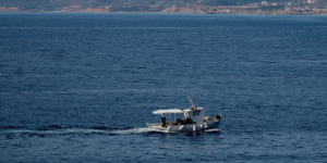 Εισβολή ξενικών ψαριών στο Αιγαίο, από την Ερυθρά θάλασσα -Κάποια τοξικά και επικίνδυνα