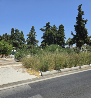 ΔΥΝΑΜΗ ΑΛΛΑΓΗΣ: ‘’ Μας αξίζει αυτή η Κως; Πυκνά και ψηλά χόρτα κατακλύζουν τους κοινόχρηστους χώρους του νησιού και το οδικό δίκτυο.’’