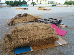 Άγνωστοι κατέστρεψαν τον προπονητικό στίβο τοξοβολίας, του Α.Σ. ΦΟΙΒΟΣ ΚΩ, στο παλαιό γήπεδο Ανταγόρα