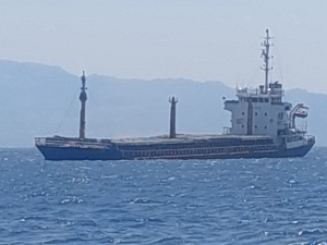 Επαναφέρει o Γ.Νικητιάδης στη Βουλή την πίεση για το Blue Shark
