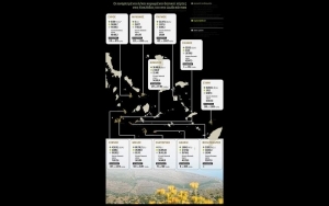 Οι δασικοί χάρτες αναστατώνουν το Αιγαίο