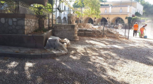 ΔΗΜΟΣ ΚΩ: Εκτεταμένοι καθαρισμοί της Δ/νσης Περιβάλλοντος και Καθαριότητας, με πλύσιμο κεντρικών πεζοδρόμων-πλατιών-δρόμων