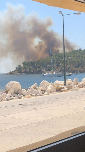 Συνελήφθη 22χρονος αλλοδαπός για εμπρησμό στη Λέρο-Αποτεφρώθηκαν πάνω 40 στρέμματα δασικής πευκώδους έκτασης