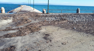 Δήμος Κω : Καθαρισμός του χώρου στάθμευσης στη σκάλα του Πολεμικού, αύριο Τετάρτη 16 Δεκεμβρίου