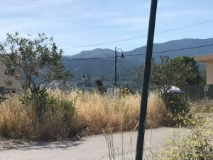 ΠΟΠΗ ΚΙΑΠΟΚΑ:  Στη δεύτερη μεγάλη πόλη του νησιού, κάποιοι ασχολούνται με οτιδήποτε άλλο εκτός από τα αυτονόητα                