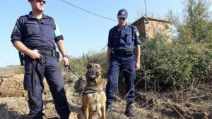 Οι υποψήφιοι που κρίθηκαν ικανοί στα πλαίσια του διαγωνισμού πρόσληψης Συνοριακών Φυλάκων Ορισμένου Χρόνου για το Νότιο &amp; Βόρειο Αιγαίο