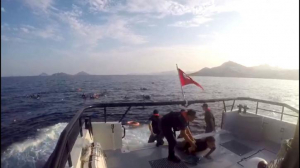 Δώδεκα οι νεκροί στο ναυάγιο ανοιχτά του Μπόντρουμ, απέναντι από την Κω