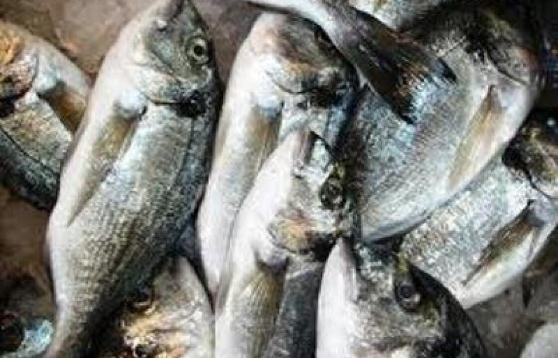 Κατασχέθηκαν ψάρια υπολειπόμενων διαστάσεων στη Νίσυρο.