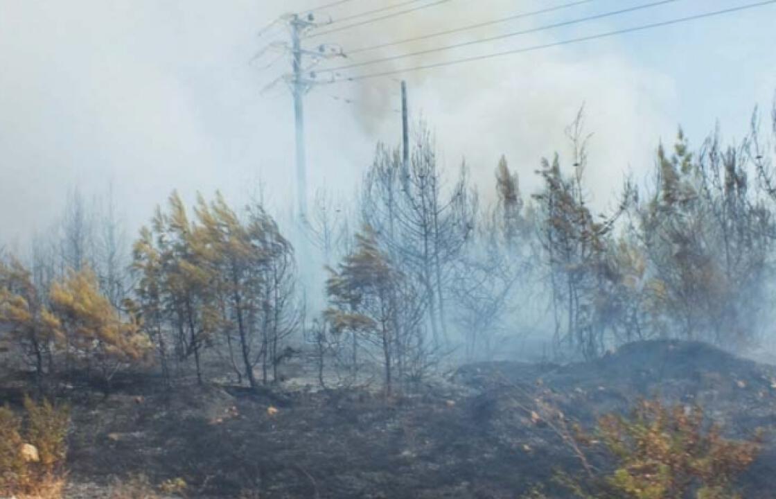 Πέτυχαν το στόχο τους οι αδίστακτοι εμπρηστές.Έκαψαν για ακόμα μια φορά τη Ρόδο.